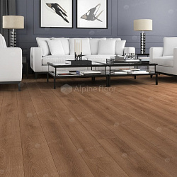 Ламинат ДУБ БРАУН PREMIUM ALPINE FLOOR by CAMSAN P1003 Ламинат ДУБ БРАУН PREMIUM ALPINE FLOOR by CAMSAN P1003